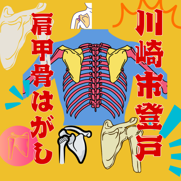 多摩区で見つけた極上の肩甲骨ケア - 肩こり解消の隠れ家サロン体験記の画像