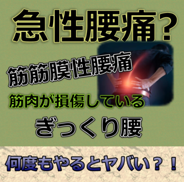 株式会社 医療情報研究所 | パターン別腰痛改善術～関節・筋肉の
