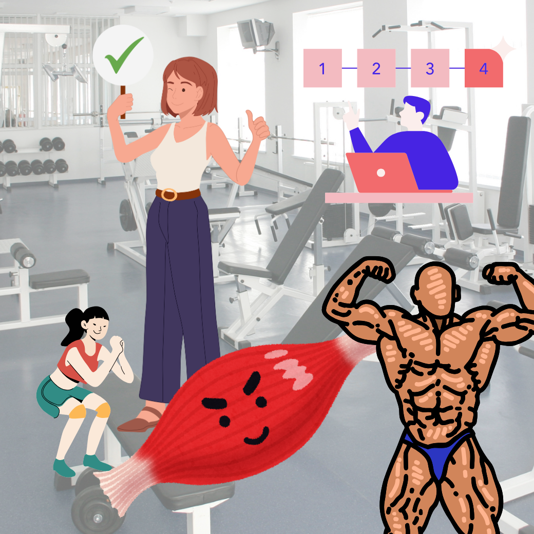 筋トレは順番でトレーニング期間短縮