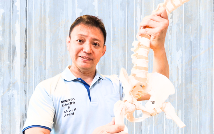 整体師が骨盤と脊椎の模型を持ちながら説明している様子|ねもと整体&ストレッチスタジオ