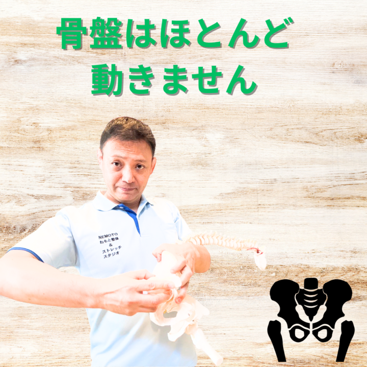 骨盤　動く？動かない？　答えは！の画像