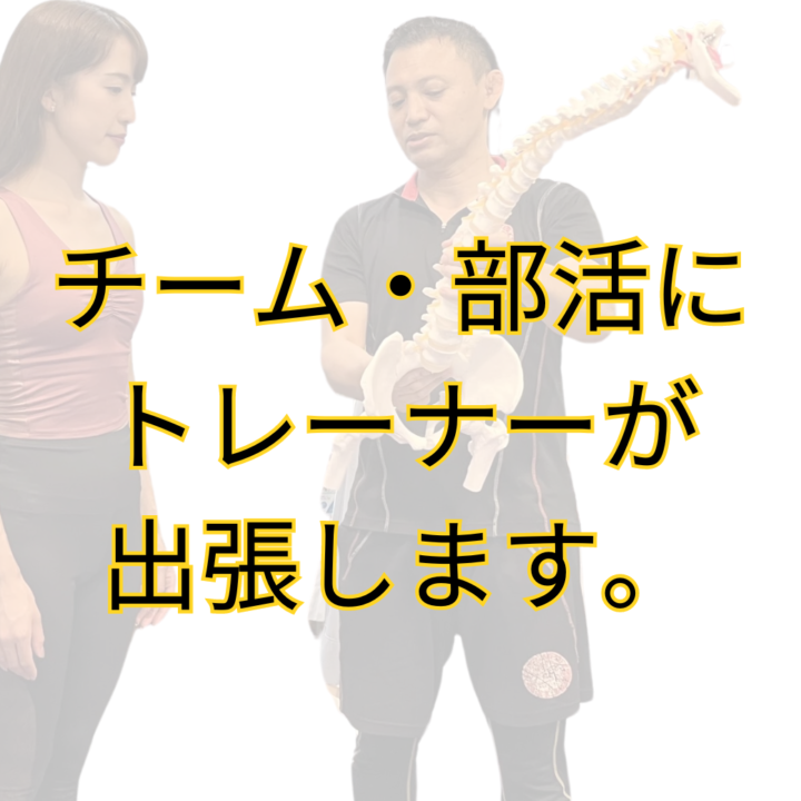 神奈川県川崎市のスポーツトレーナー派遣の料金の画像