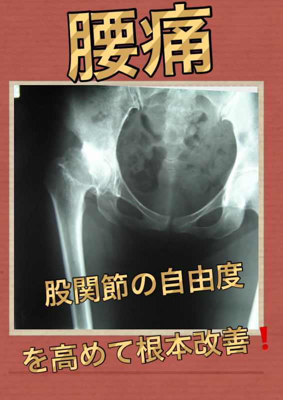 川崎腰痛整体 股関節のストレッチで検索され、ご来院