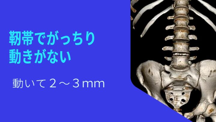 向ヶ丘遊園登戸骨盤矯正