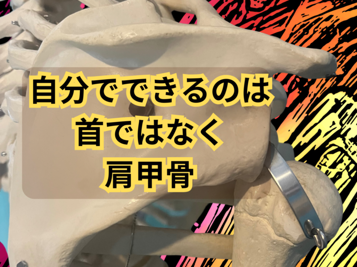 首が上を向くと痛い　治し方　肩甲骨