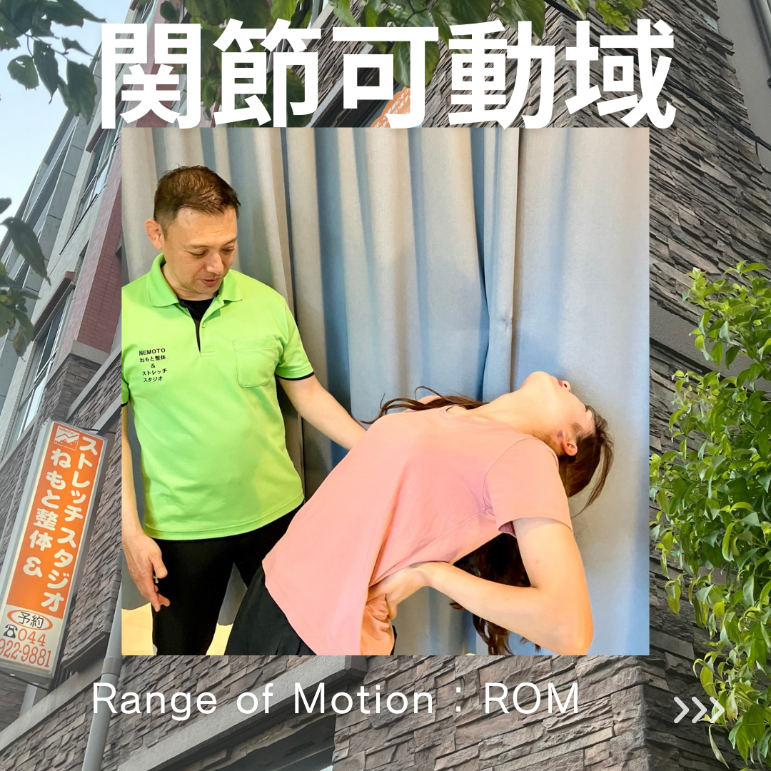 関節可動域 Range of Motion