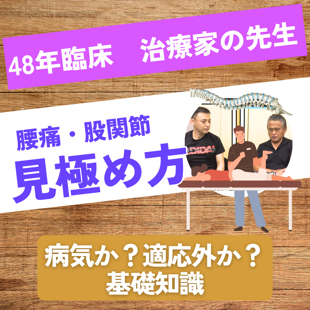 整体と整形外科など医療との連携　違いについて師匠との対談