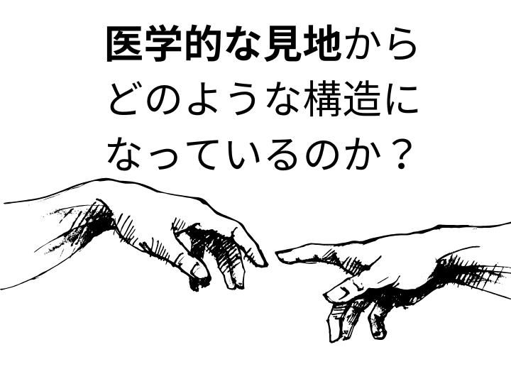 整体と整形外科　違い　ゴットハンド治療家