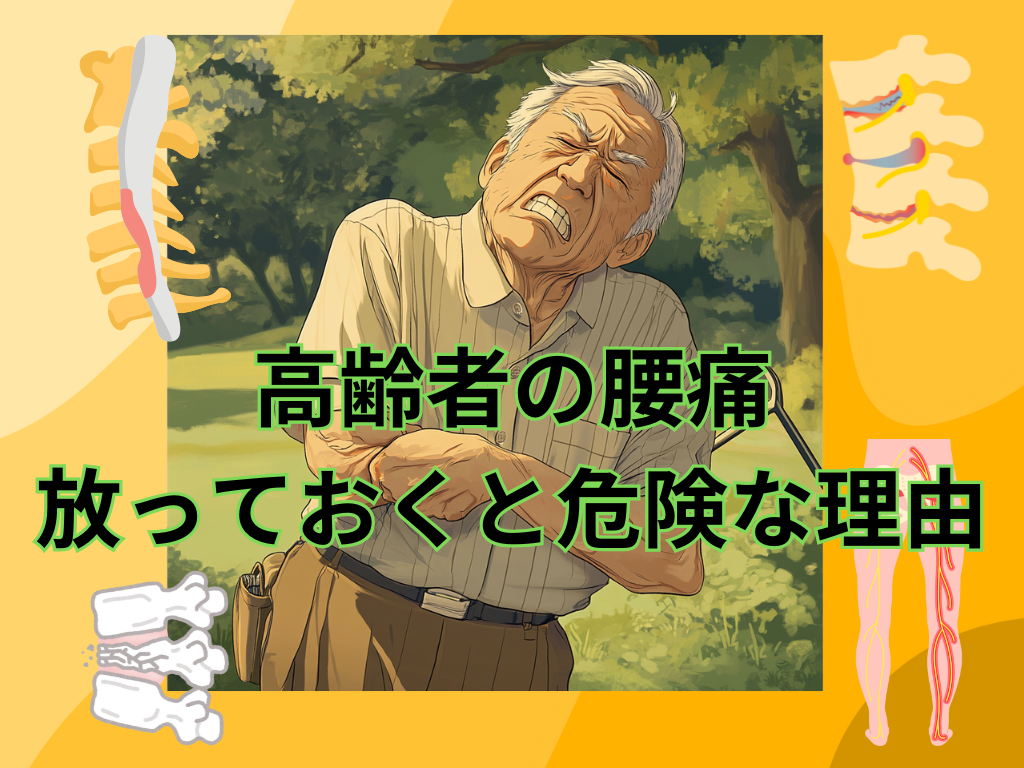 高齢者の腰痛、放っておくと危険な理由と整体での改善方法