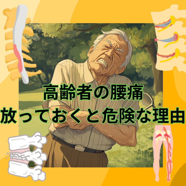 高齢者の腰痛、放っておくと危険な理由と整体での改善方法の画像