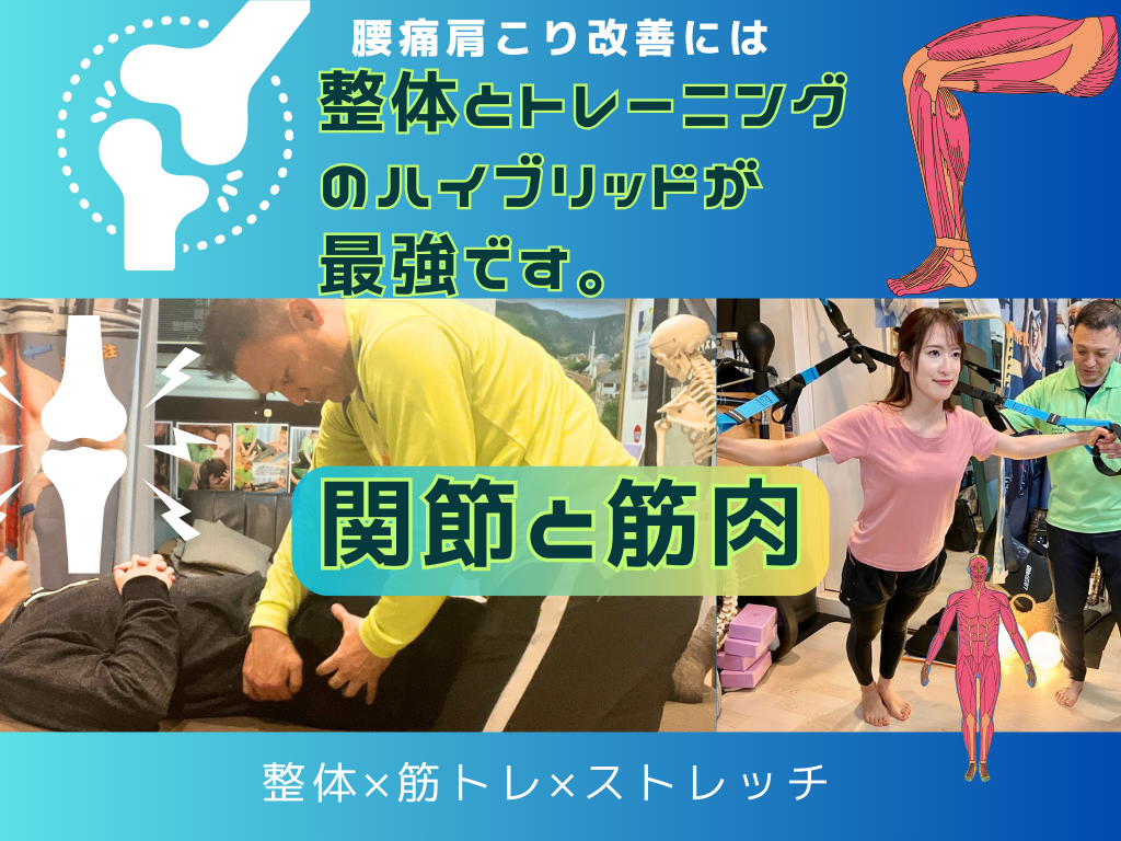 腰痛肩こり改善には 整体とトレーニング のハイブリッドが 最強です。 関節と筋肉 整体×筋トレ×ストレッチ