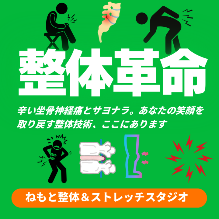 整体革命　辛い坐骨神経痛とさよなら　登戸向ヶ丘遊園坐骨神経痛整体院