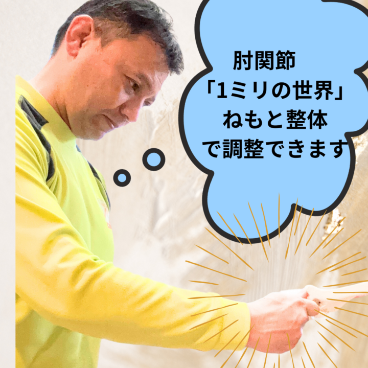 肘関節1mmの世界は向ヶ丘遊園登戸のねもと整体で調整できます