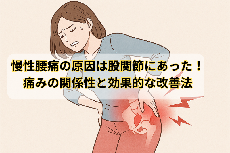 慢性腰痛の原因は股関節にあった！痛みの関係性と効果的な改善法