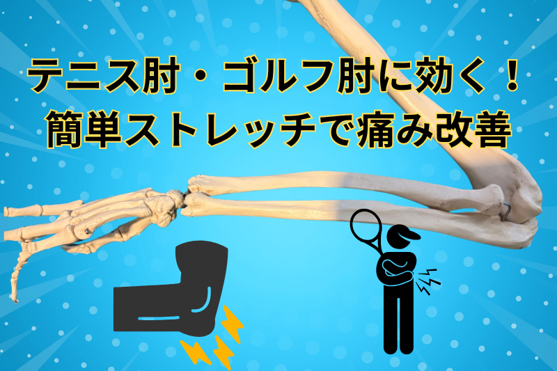 テニス肘・ゴルフ肘に効く！簡単ストレッチで痛み改善