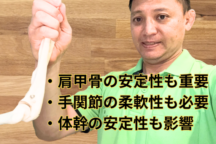 ・肩甲骨の安定性も重要 ・手関節の柔軟性も必要 ・体幹の安定性も影響