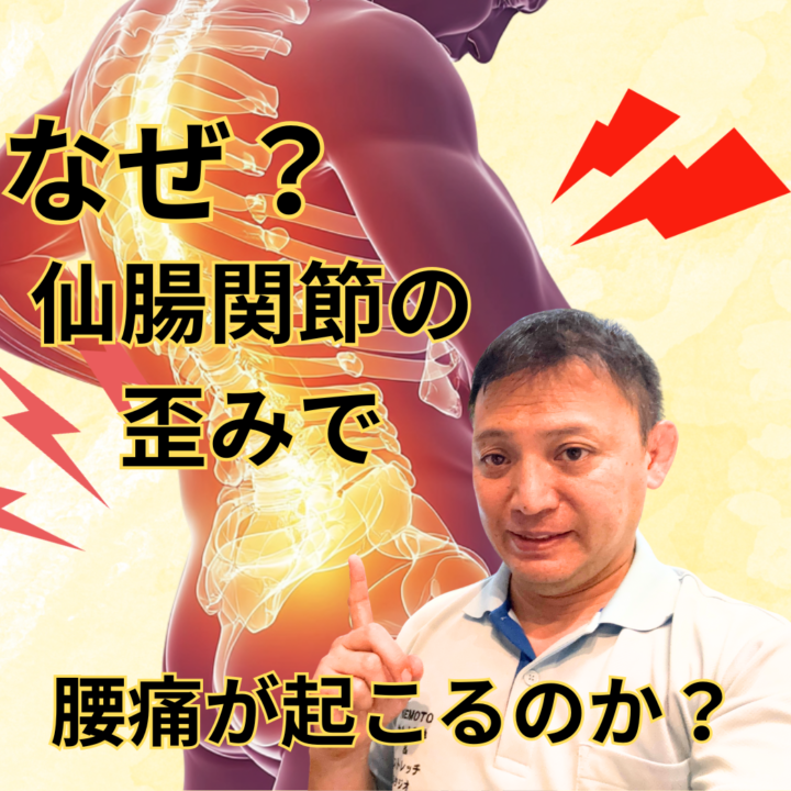 なぜ仙腸関節の歪みで腰痛が起こるのか？の画像