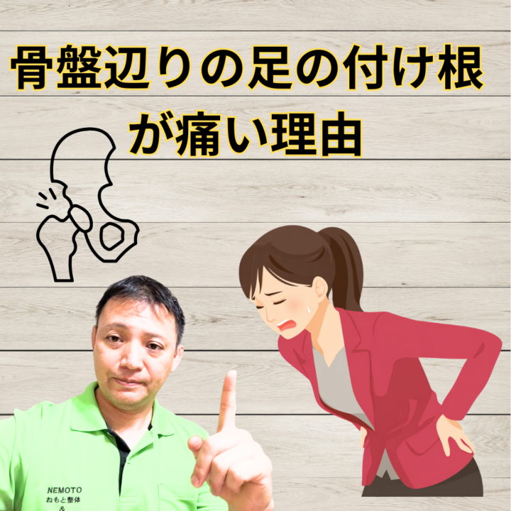 骨盤辺りの足の付け根が痛い理由の画像