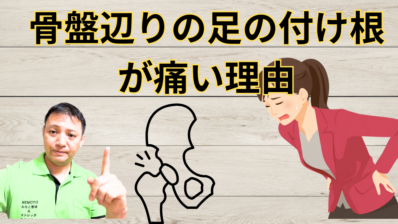 骨盤辺りの足の付け根が痛い理由