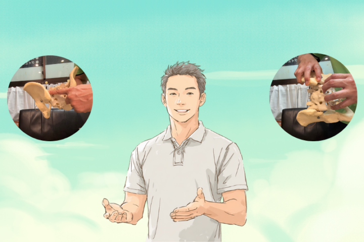 整体師が骨盤と仙腸関節の模型を使って腰痛や骨盤の歪みについて説明しているイラスト