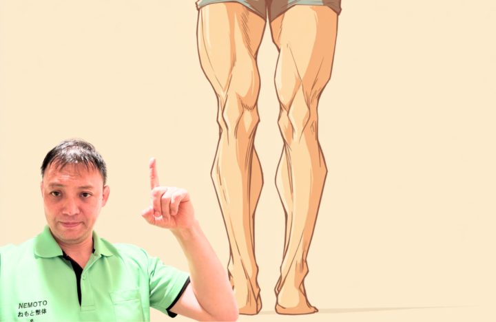 下肢の筋肉の左右差を示すイラスト|ふくらはぎ・太もものバランスと歩行への影響