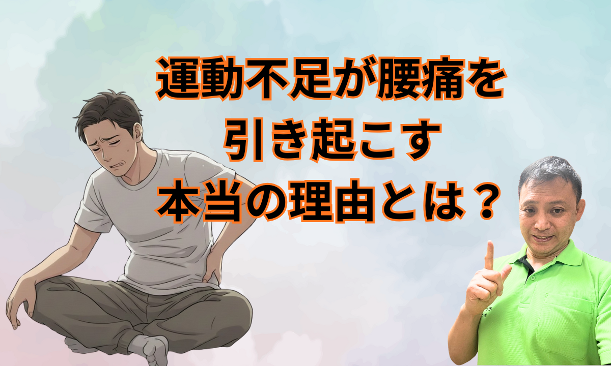 運動不足が腰痛を引き起こす本当の理由とは?
