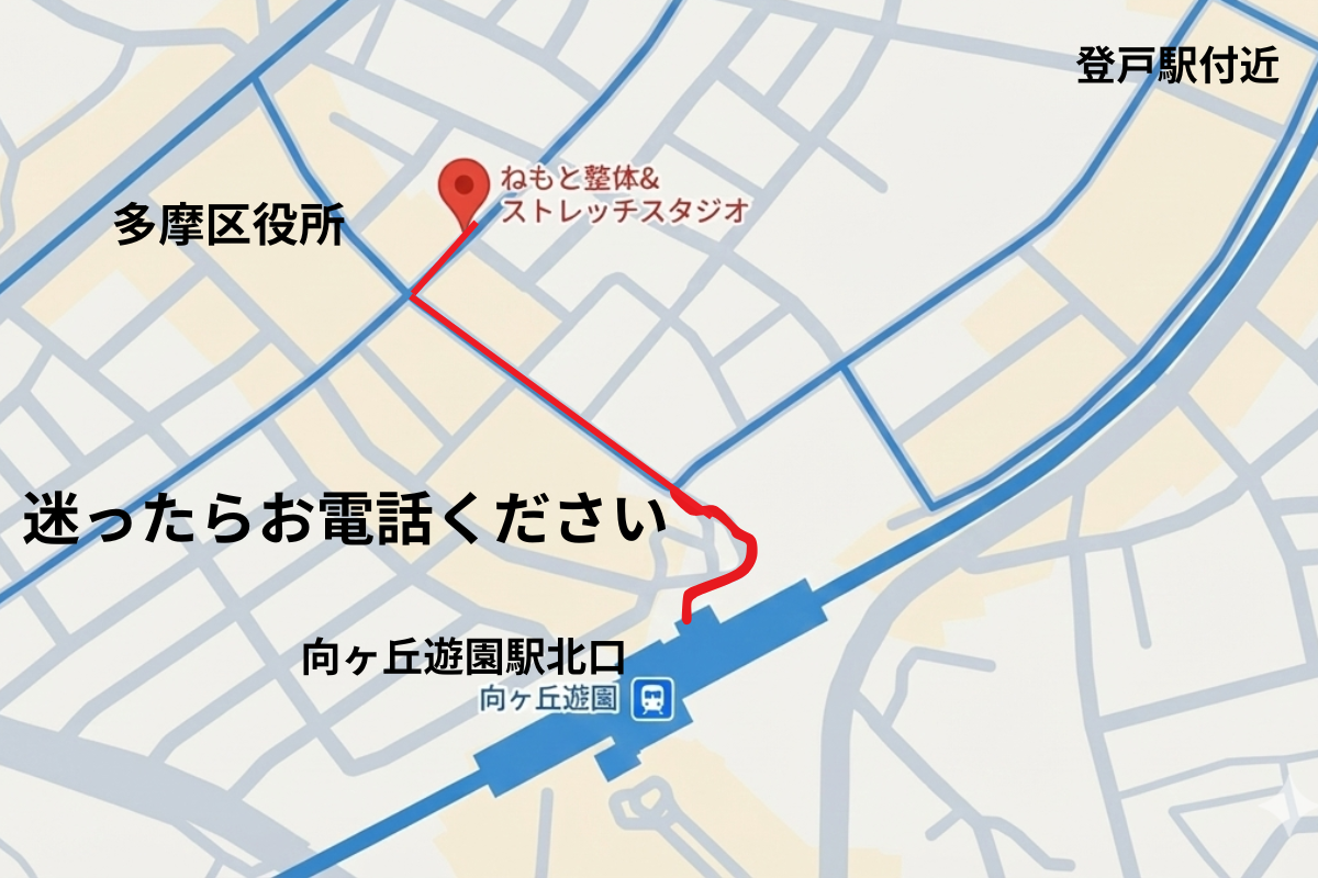 向ヶ丘遊園駅から当院までの地図