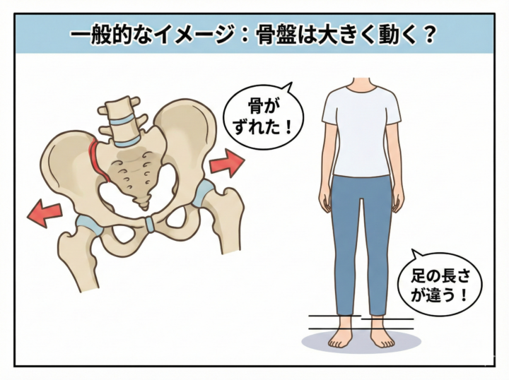 一般的なイメージ:骨盤は大きく動く?