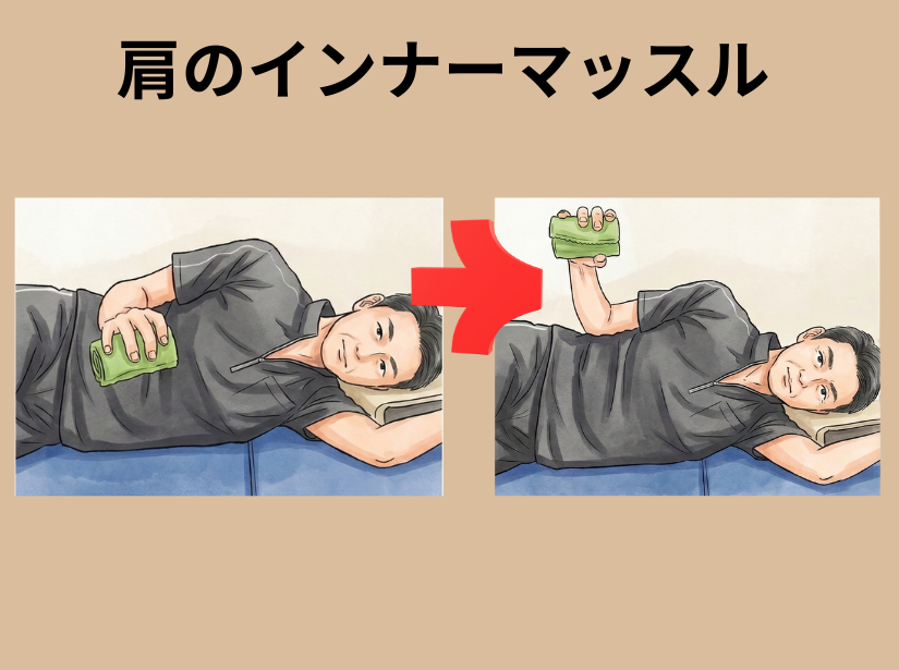 肩のインナーマッスル