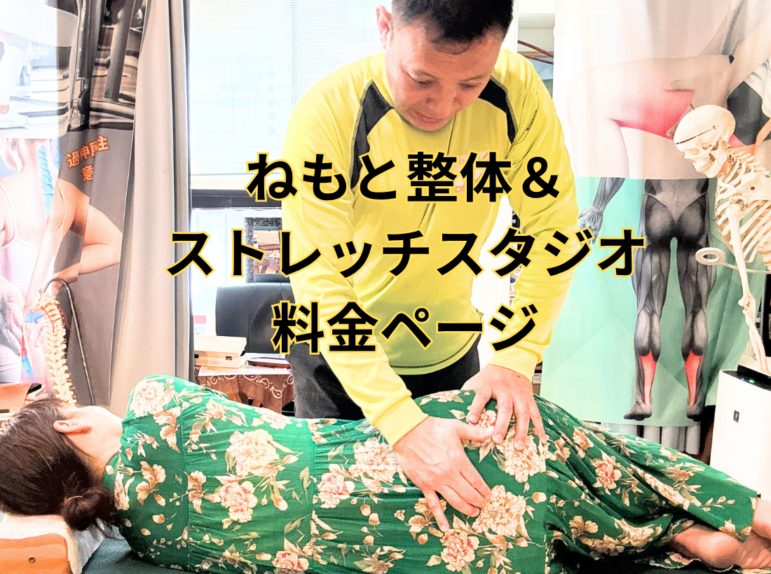 料金一覧　初回限定43％割引　整体・パーソナルトレーニング