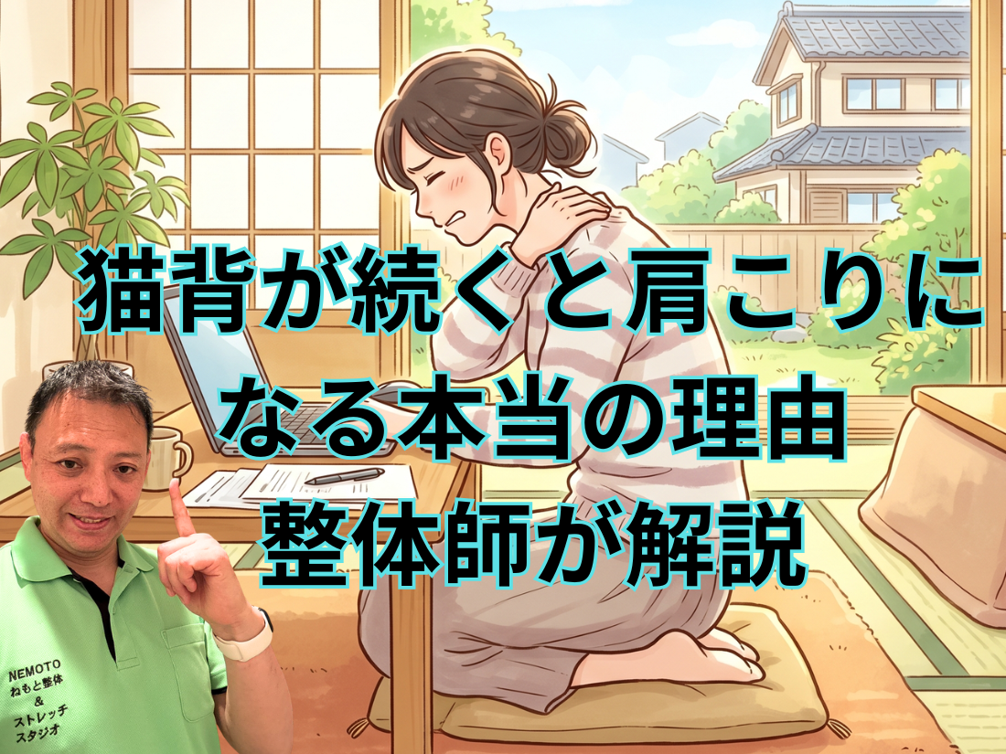 猫背が続くと肩こりになる本当の理由｜整体師が解説