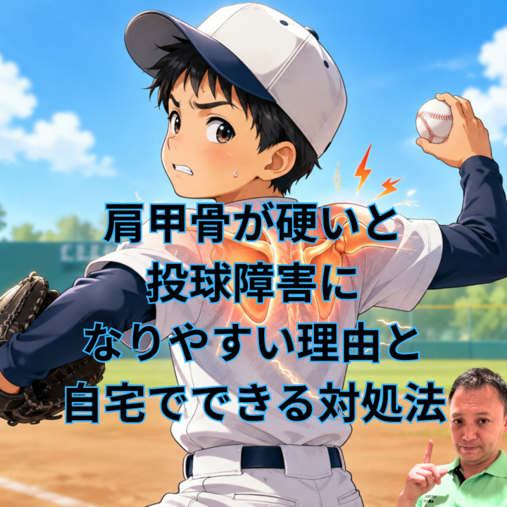 肩甲骨が硬いと投球障害になりやすい理由と自宅でできる対処法の画像