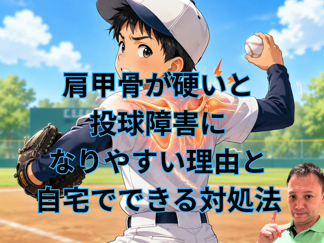肩甲骨が硬いと投球障害になりやすい理由と自宅でできる対処法